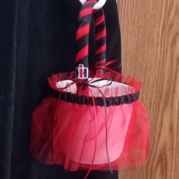 Case IH themed flower Girl basket. Hand crafted. - Picture 2 of 3
